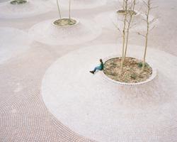 Piranesi Mention 2025: Piazza Cortevecchia, Ferrara, Italy